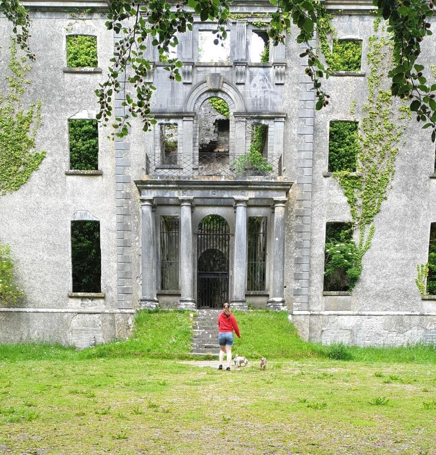 Reed Warbler Cottage Ballinrobe Exterior photo